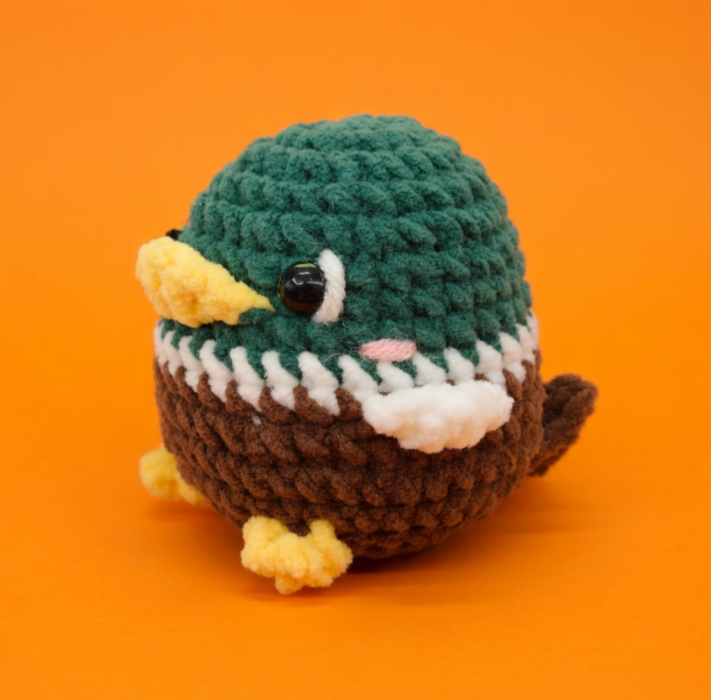 Wild Duck Beginner Crochet Kit