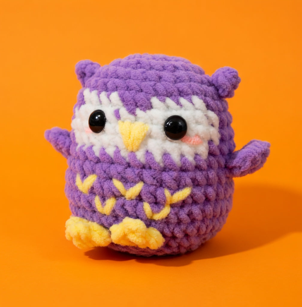Owl Beginner Crochet Kit