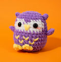 Owl Beginner Crochet Kit