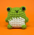 Frog Amigurumi Crochet Kit